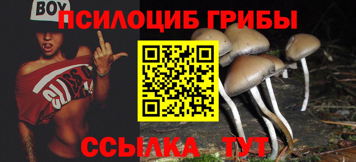 Псилоцибиновые грибы мухоморы Сергиев Посад